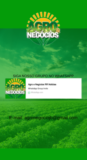 Post instagram nos siga nas redes sociais para igreja moderno em marrom e branco (300 x 500 px)