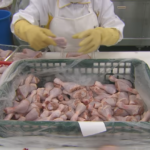 Exportações de carne de frango confirmam projeções positivas e fecham ano com alta de 0,6%