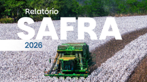 O plantio da safra brasileira de algodão 2025/2026 entra no período final, ao mesmo tempo em que o país consolida o beneficiamento de uma colheita histórica no ciclo 2024/2025