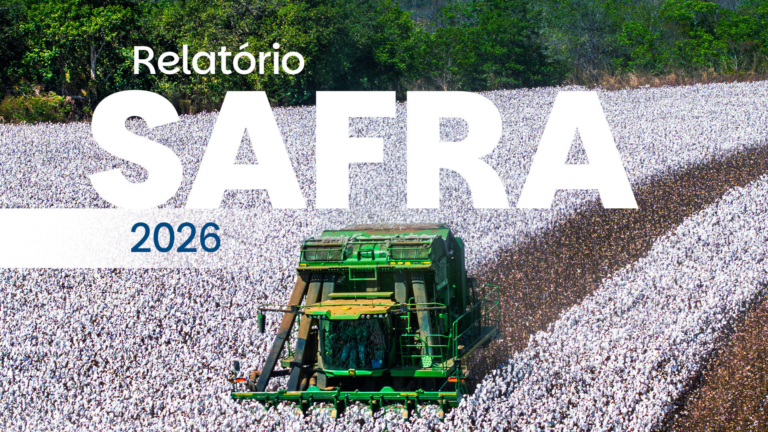 O plantio da safra brasileira de algodão 2025/2026 entra no período final, ao mesmo tempo em que o país consolida o beneficiamento de uma colheita histórica no ciclo 2024/2025