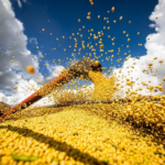 CNA inicia encontros regionais para reunir propostas ao Plano Safra 2026/2027 do Governo Federal