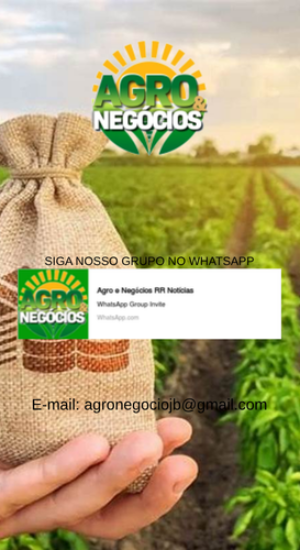 Post instagram nos siga nas redes sociais para igreja moderno em marrom e branco (300 x 500 px) (330 x 500 px)