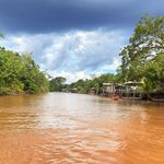 Mapeamento inédito aponta avanço da bioeconomia na Amazônia e destaca desafios para ampliar impacto