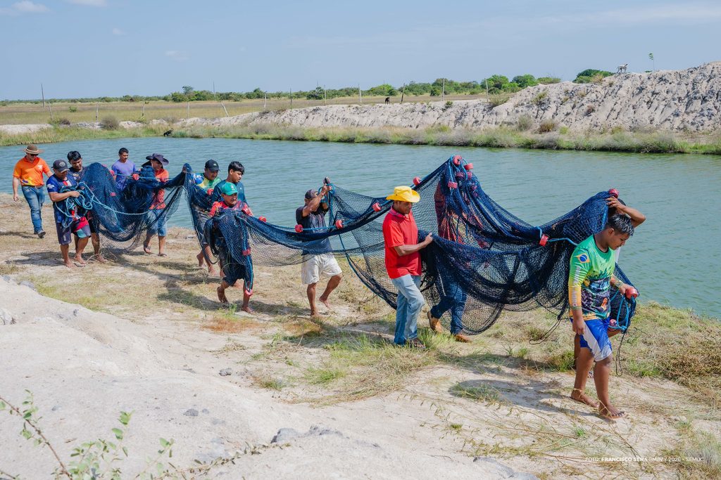 Comunidade indígena Lago Grande faz despesca de mais de duas toneladas de tambaqui