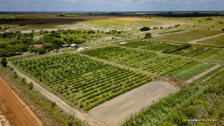 Irrigação fotovoltaica contribui para produção na zona rural de Boa Vista