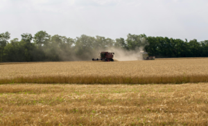 Crédito rural para a agricultura empresarial soma R$ 28,2 bilhões no primeiro mês da safra 2026/2027