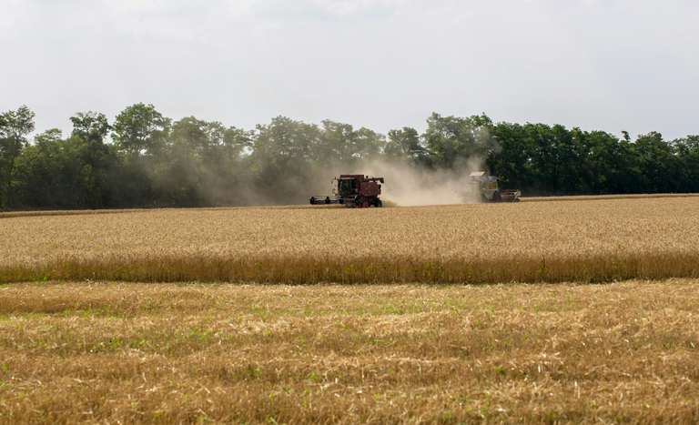 Crédito rural para a agricultura empresarial soma R$ 28,2 bilhões no primeiro mês da safra 2026/2027