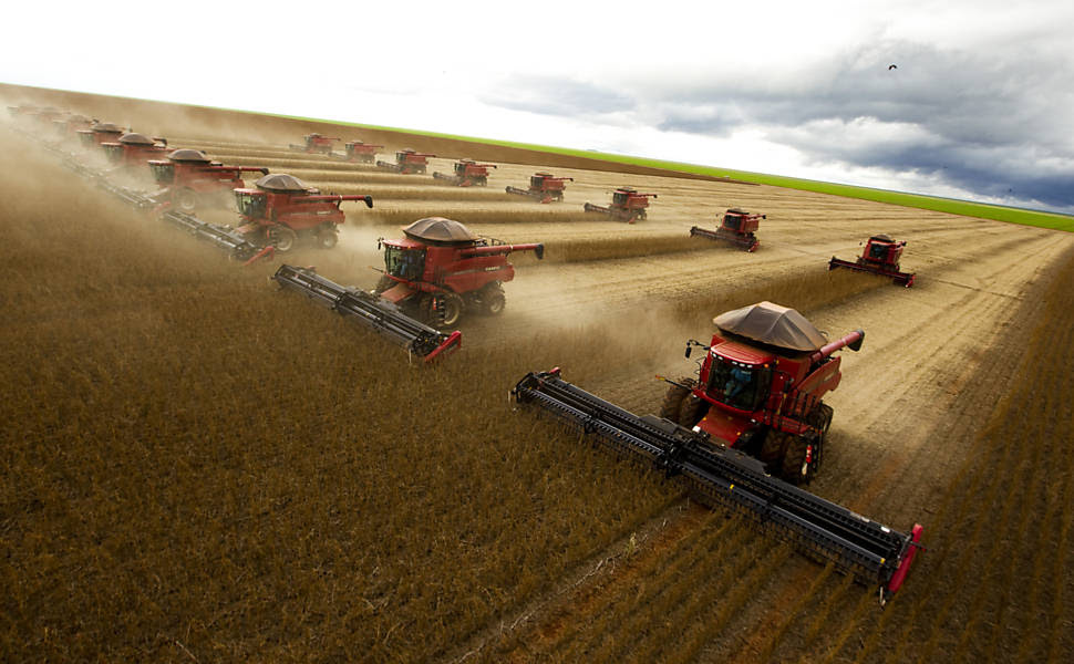 Agro bate recorde de produção, mas enfrenta margens estreitas e crédito caro