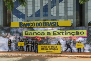 Ação do MPF contra Banco do Brasil reforça denúncia do Greenpeace sobre concessão de crédito rural em Terra Indígena