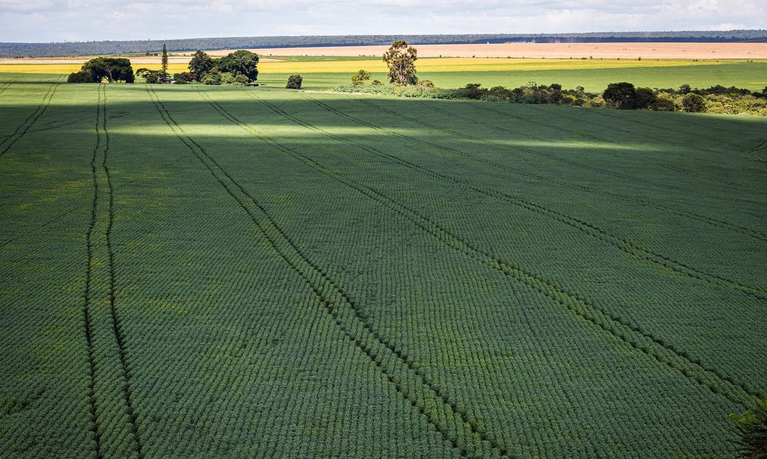 CMN amplia renegociação de dívidas rurais ligadas a eventos climáticos