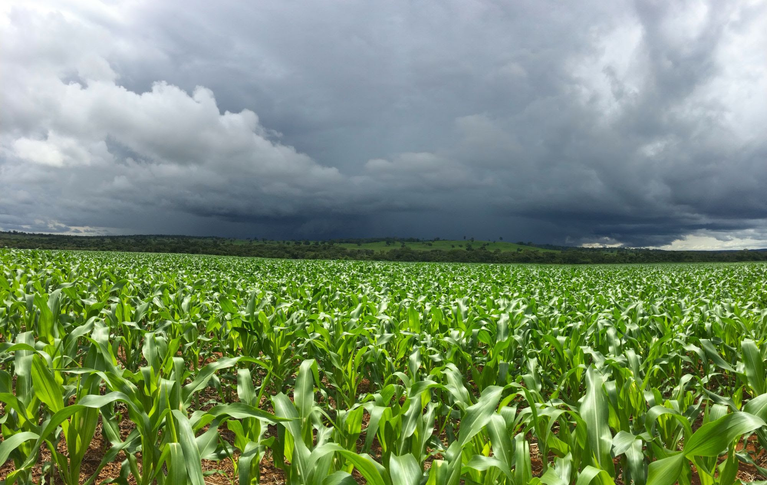 El Niño forte aumenta risco para o agronegócio