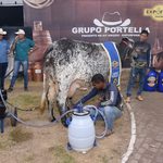 Governo de Roraima divulga programação de leilões, provas equestres, rodeio e torneio leiteiro