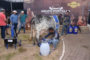 Governo de Roraima divulga programação de leilões, provas equestres, rodeio e torneio leiteiro
